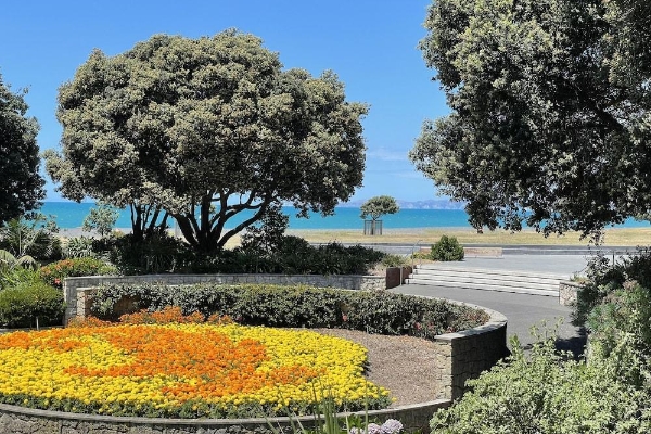Hotel Swiss-Belboutique Napier (Napier )